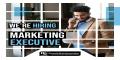 Marketing Campaigns Executive (6-9 months contract)